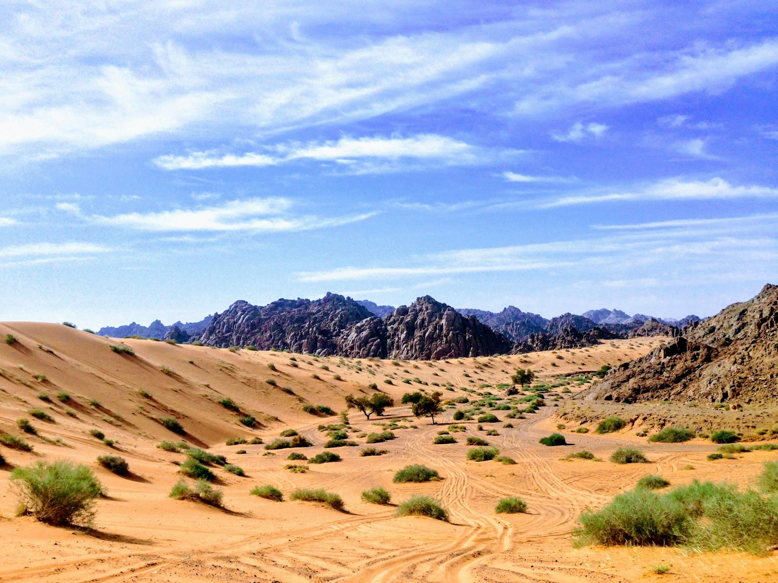 صحراء العلا عند الغروب مع مجموعة صغيرة